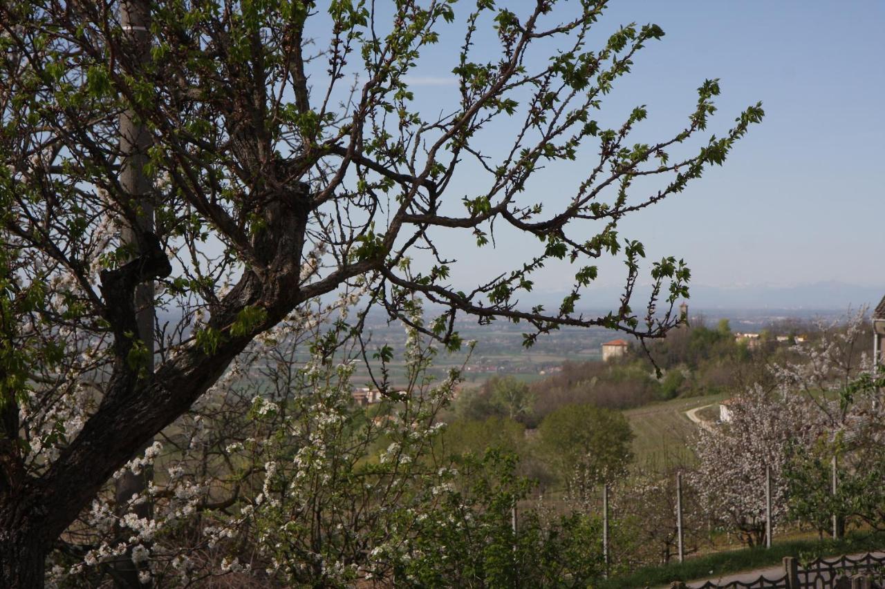 Gli Acini Bed and Breakfast Pietra dei Giorgi Buitenkant foto
