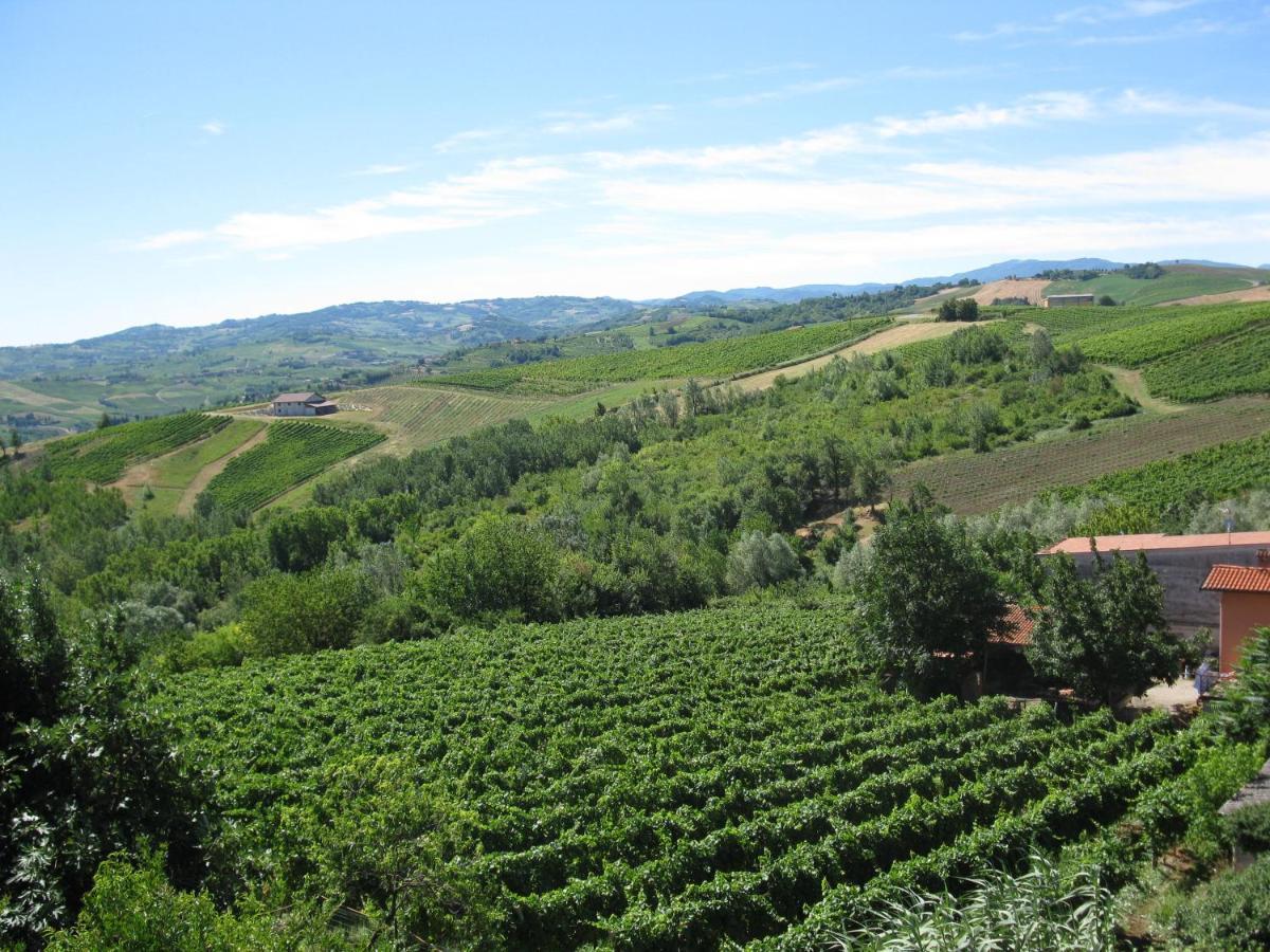 Gli Acini Bed and Breakfast Pietra dei Giorgi Buitenkant foto
