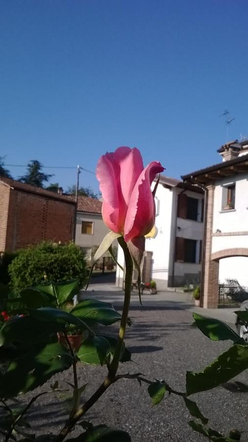 Gli Acini Bed and Breakfast Pietra dei Giorgi Buitenkant foto